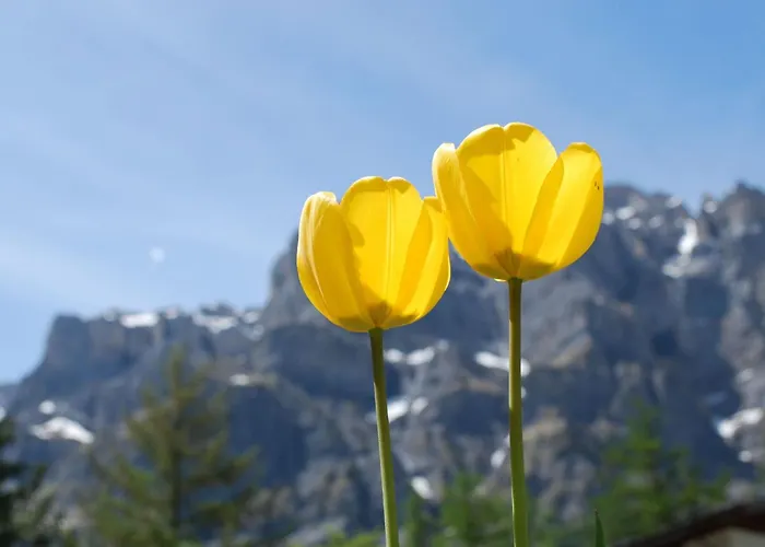 Whg-44 By Interhome *